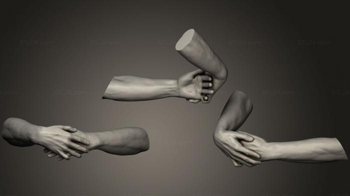 Anatomy of skeletons and skulls (Male Hands 5, ANTM_0821) 3D models for cnc